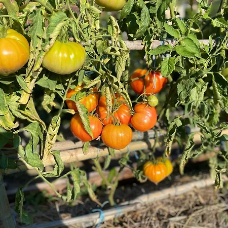 Hotel Logis Grand Pelisson Nontron