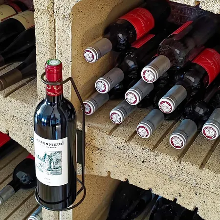 Logis Grand Pelisson ホテル ノントロン