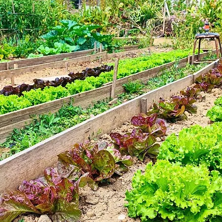 Hotel Logis Grand Pelisson Nontron