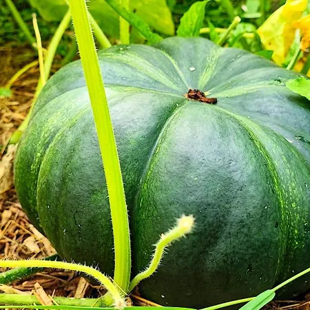 Logis Grand Hotel Pelisson Nontron