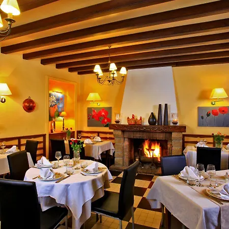 Logis Grand Pelisson Hotel 3*