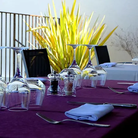 Logis Grand Pelisson Hotel