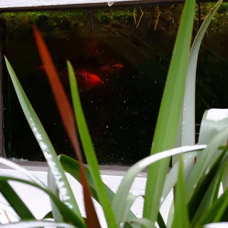 Hotel Logis Grand Hotel Pelisson Nontron