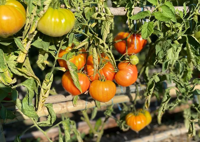 Hotel Logis Grand Hotel Pelisson Nontron