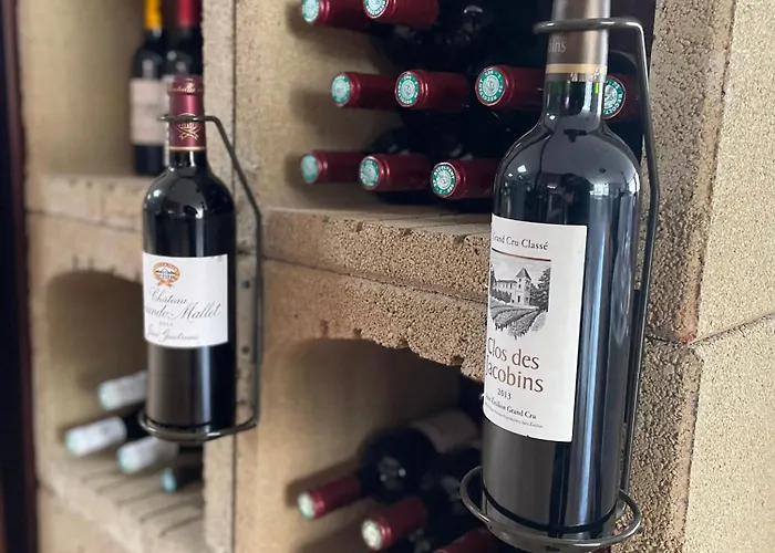 Hotel Logis Grand Pelisson 3*