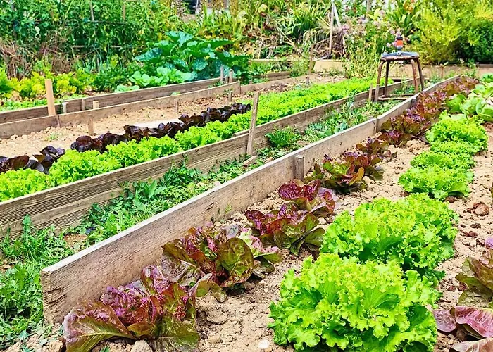 Hotel Logis Grand Pelisson Nontron