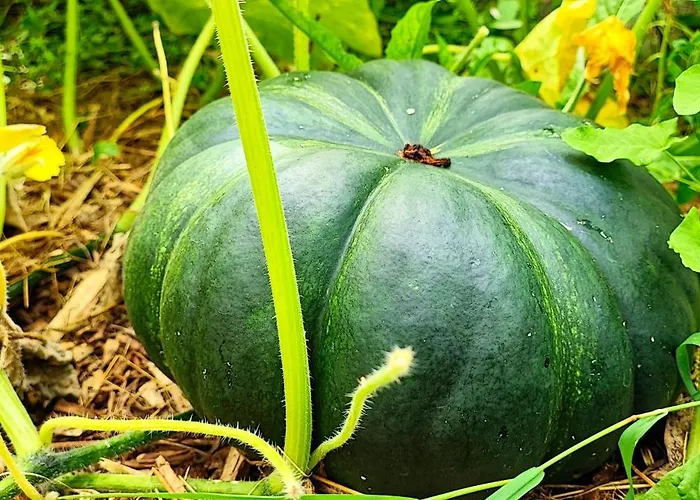 Logis Grand Pelisson Nontron