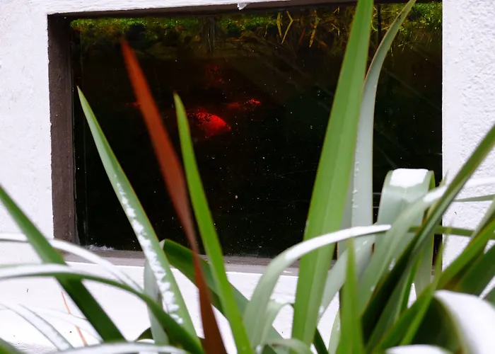 Logis Grand Hotel Pelisson 3*