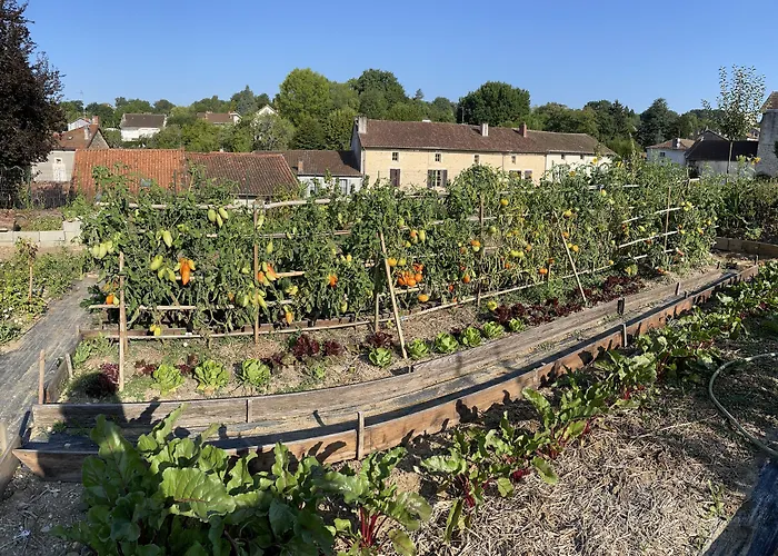 Logis Grand Hotel Pelisson Hotel 3*